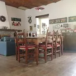La Gatta Sul Tetto