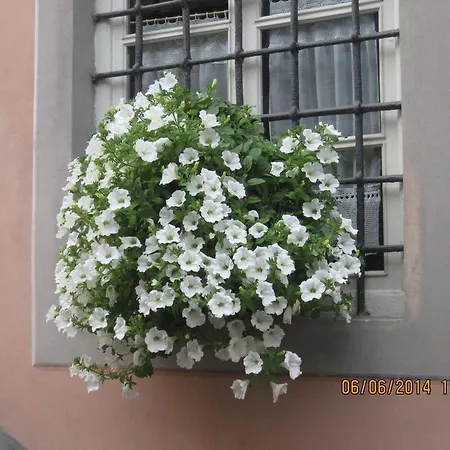 La Gatta Sul Tetto Frühstückspension 3*