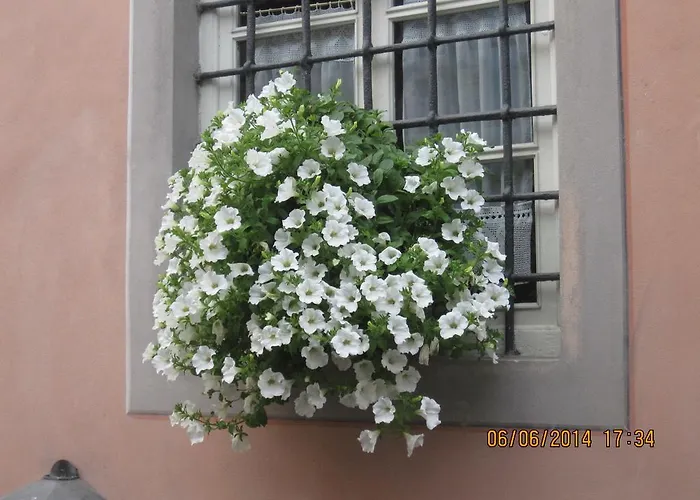 La Gatta Sul Tetto Alojamento de Acomodação e Pequeno-almoço 3*